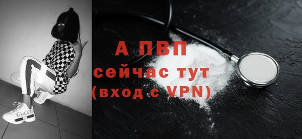 ПСИЛОЦИБИНОВЫЕ ГРИБЫ Горно-Алтайск