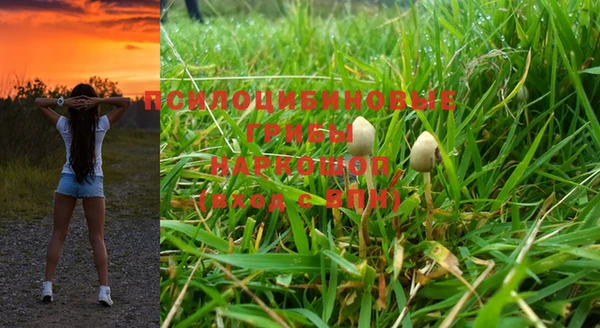 марки nbome Горняк