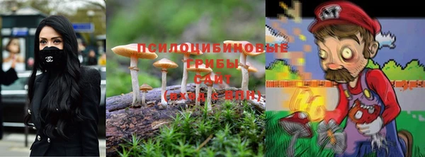 ПСИЛОЦИБИНОВЫЕ ГРИБЫ Горно-Алтайск