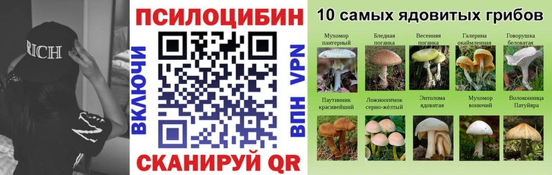 omg маркетплейс  Суджа  Галлюциногенные грибы ЛСД  купить закладку 
